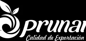 Logo Empresa